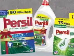 Edeka Persil Universal Pulver Angebot