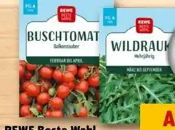 REWE Center Rewe Beste Wahl Sämereien Angebot