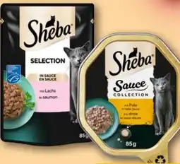 REWE Center Sheba Katzennahrung Angebot