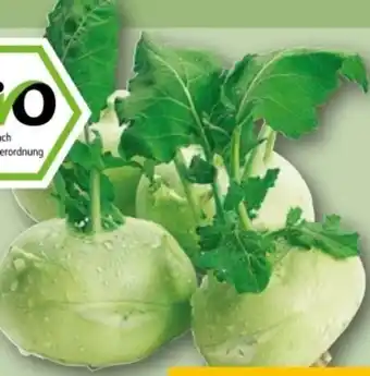 REWE Center Bio-Kohlrabi Angebot