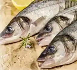 Edeka Wolfsbarsch Loup de Mer Angebot