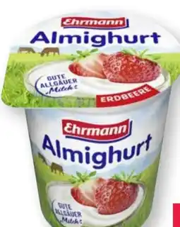 Scheck-in-Center Ehrmann Almighurt Angebot