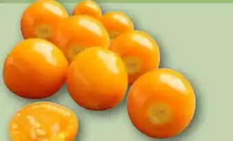 REWE Physalisbeeren Angebot