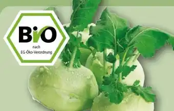 REWE Rewe Bio Kohlrabi Angebot