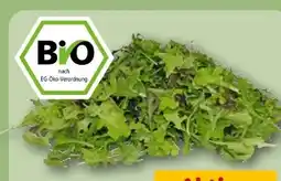 REWE Rewe Bio Crispy Salatmix Angebot