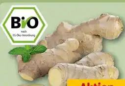 REWE Bio Ingwer Angebot