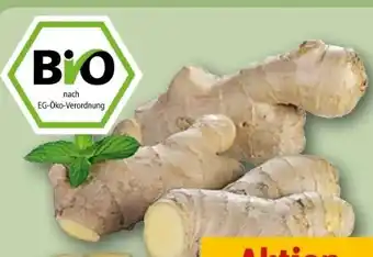 REWE Bio Ingwer Angebot