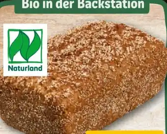 REWE Rewe Back-Station Bio Dinkelvollkornbrot Angebot