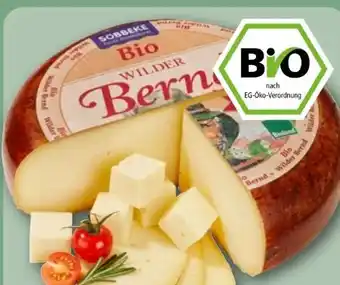 REWE Söbbeke Bio Wilder Bernd Angebot