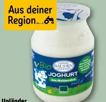 REWE Upländer Bauern Molkerei Bio Joghurt Natur Angebot