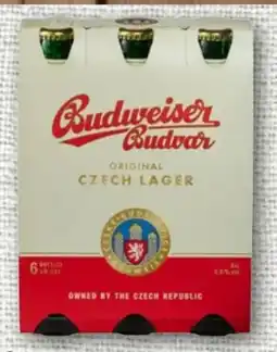 REWE Budweiser Budvar (CZ) Premium Lager Angebot