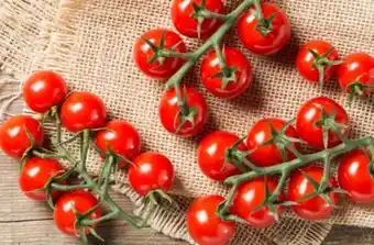 REWE Rewe Bio Mini Cherry Rispentomaten Angebot