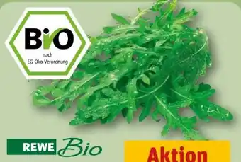 REWE Rewe Bio Bio-Rucola Angebot