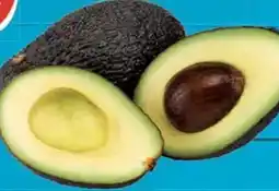 E-Center Gut & Günstig Avocado Hass Angebot