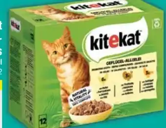 E-Center Kitekat Katzennahrung Angebot