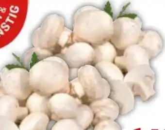 Edeka Gut & Günstig Frische Champignons Angebot