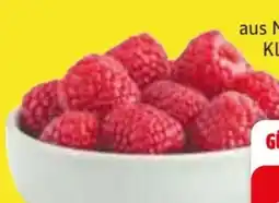 Edeka Himbeeren Angebot