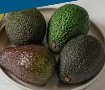 tegut Avocado Angebot