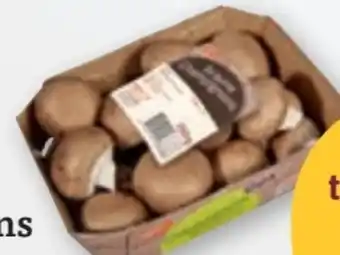 tegut tegut... Champignons Angebot