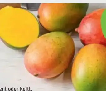 tegut Bio-Mango Angebot