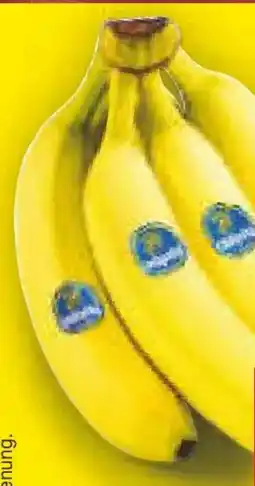 Netto Marken-Discount Chiquita Bananen Angebot