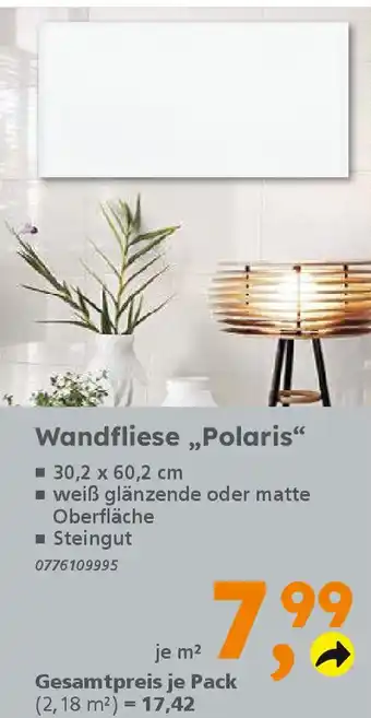 Globus Baumarkt Wandfliese „Polaris" Angebot