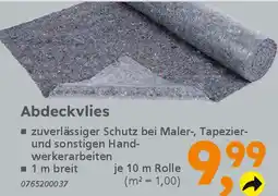 Globus Baumarkt Abdeckvlies Angebot