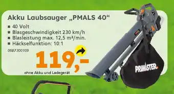 Globus Baumarkt PRIMASTER Akku Laubsauger „PMALS 40" Angebot