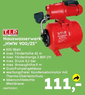 Globus Baumarkt T.I.P. Hauswasserwerk "HWW 900/25" Angebot