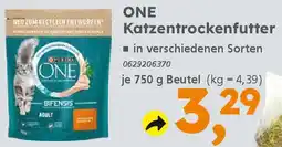 Globus Baumarkt ONE Katzentrockenfutter Angebot