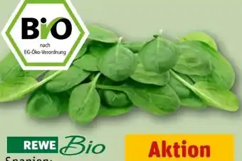 REWE Rewe Bio Babyspinat Angebot