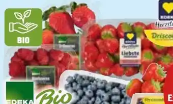 Edeka Frischemarkt Edeka Bio Erdbeeren Angebot