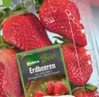 Edeka Edeka Bio Erdbeeren Angebot