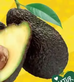 EDEKA Bandelt Gut & Günstig Avocado Hass Angebot