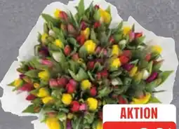 Edeka Schnittblumen Tulpen Karneval Angebot