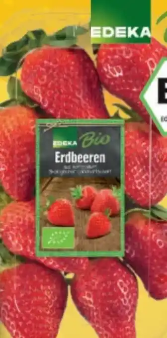 EDEKA Bandelt Edeka Bio Erdbeeren Angebot