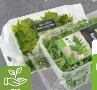 Edeka Edeka Bio Rucola Angebot