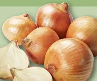 REWE Center Gemüsezwiebeln Angebot