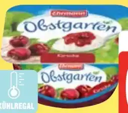 Edeka Ehrmann Obstgarten Angebot