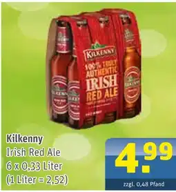 Getränke Arena Kilkenny irish red ale Angebot