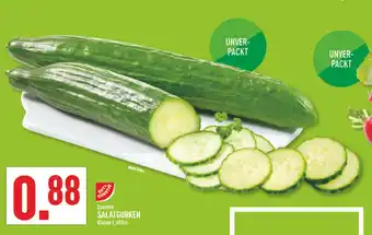 Marktkauf Gut & günstig salatgurken Angebot