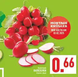 Marktkauf Niederlande radieschen Angebot