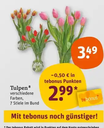 tegut Tulpen Angebot