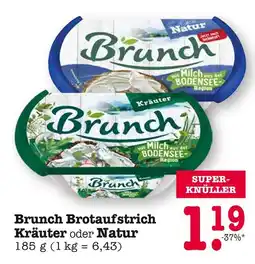 E-Center Brunch brotaufstrich kräuter oder natur Angebot