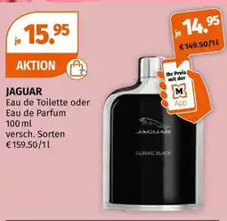 Müller Jaguar classic black Angebot