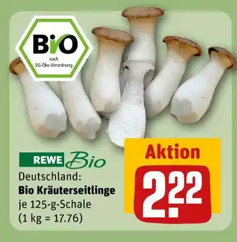 REWE Rewe bio bio kräuterseitlinge Angebot