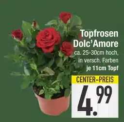 Edeka Dolc’amore topfrosen Angebot