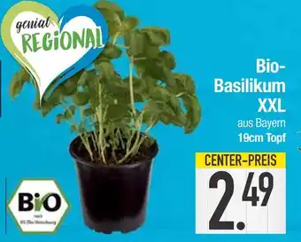 Edeka Bio bio-basilikum xxl Angebot