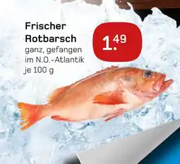 boni Center Frischer rotbarsch Angebot