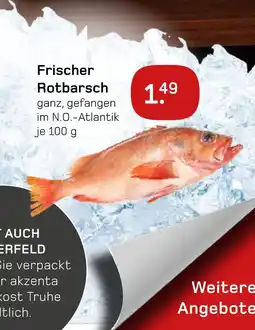 akzenta Frischer rotbarsch Angebot